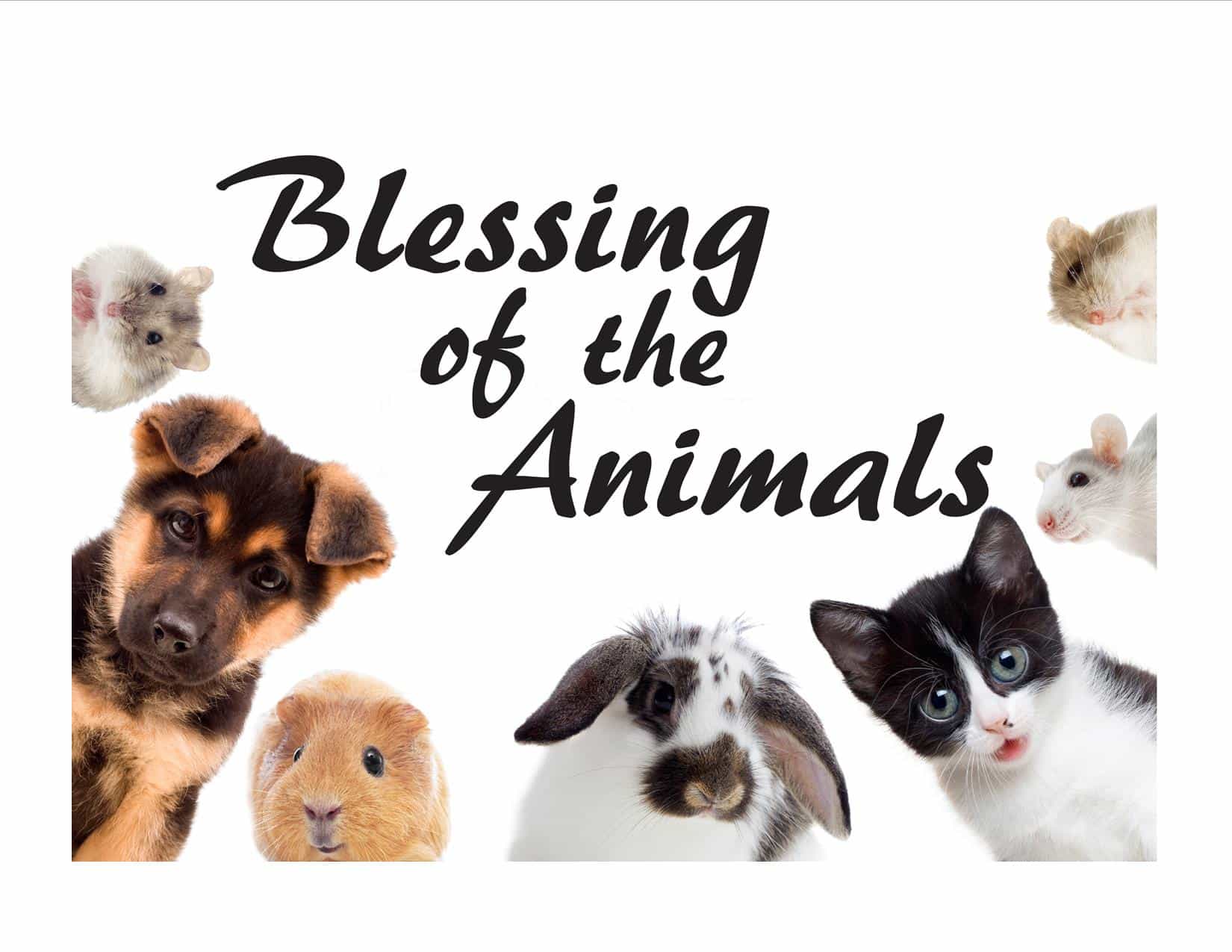 St. Therese Academy Blessing of the Animals 1042023